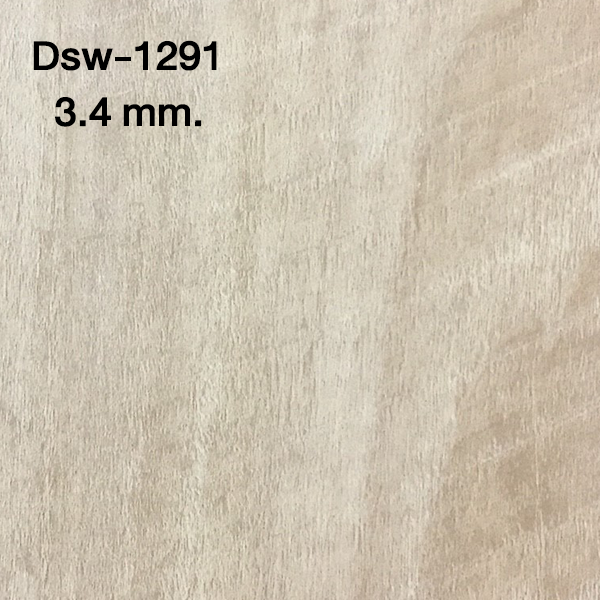 2.dsw-1291