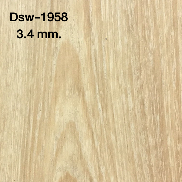 3.dsw-1958