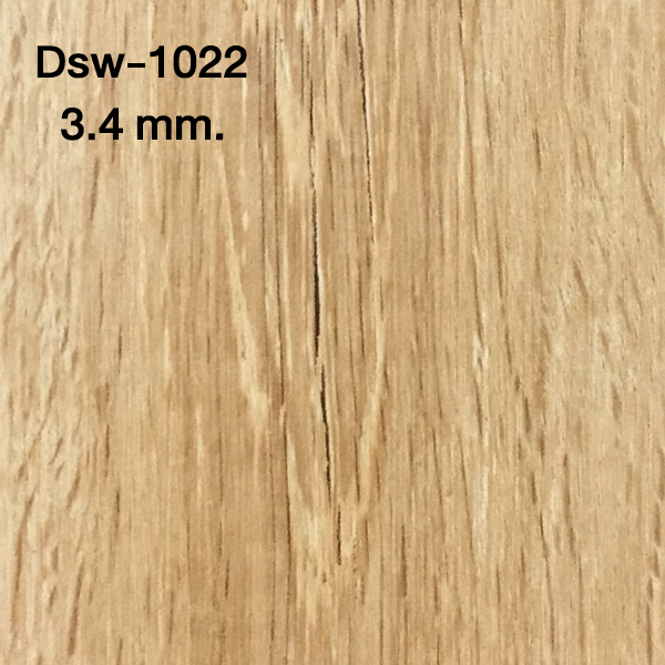 4.dsw-1022